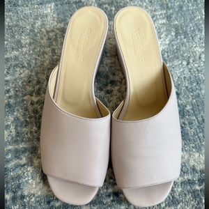 Everlane Leather “The Wedge” in Lavender